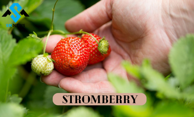 Stromberry