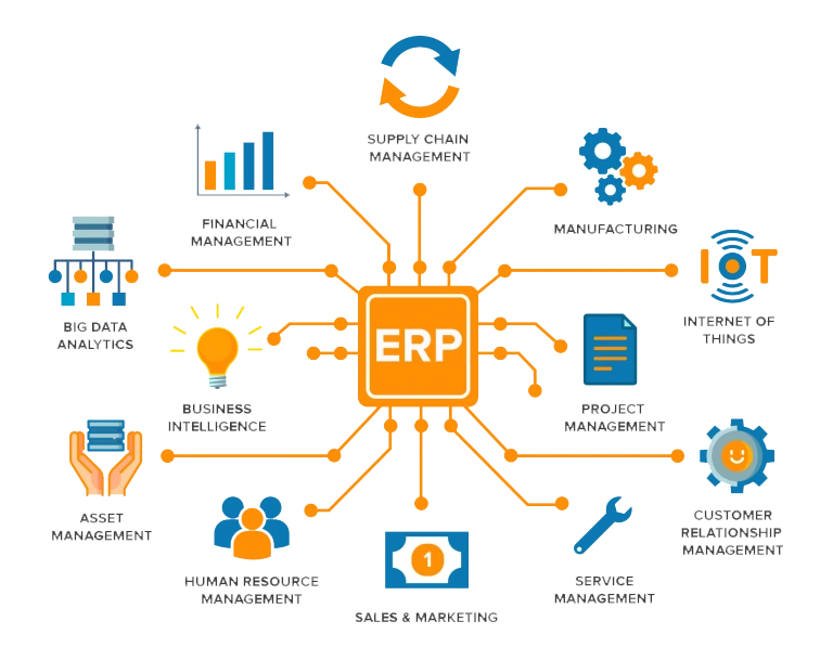 ERP Vendor