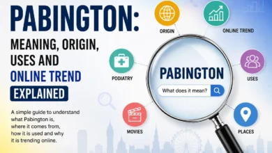 Pabington meaning origin uses and online trend explained