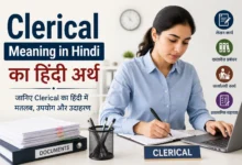 Clerical meaning in Hindi with office work and document management illustration