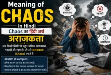 Chaos meaning in Hindi with an illustration showing confusion, disorder, and अराजकता