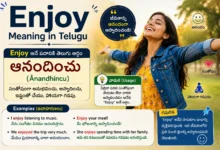 Enjoy meaning in Telugu with Telugu translation, usage, and example sentences