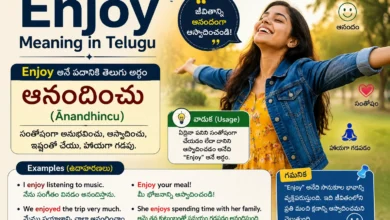 Enjoy meaning in Telugu with Telugu translation, usage, and example sentences