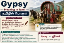 Gypsy meaning in Tamil with Tamil translation, definition, cultural context, and examples