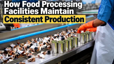 Food processing facility production line with workers, raw ingredients, cans, and industrial equipment maintaining consistent production.