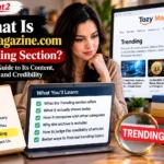 Tozymagazine.com Trending feature image showing its categories, article topics, credibility checklist, and comparison with current trending content.